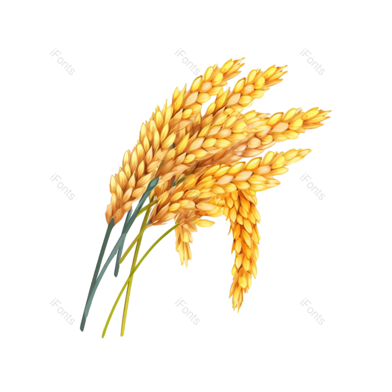 芒种图片,元素元素,秋天PNG,插画免抠素材